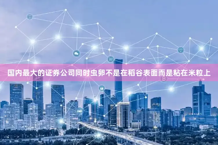 国内最大的证券公司同时虫卵不是在稻谷表面而是粘在米粒上