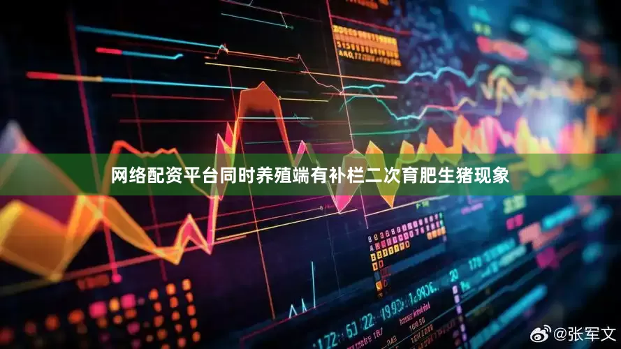 网络配资平台同时养殖端有补栏二次育肥生猪现象