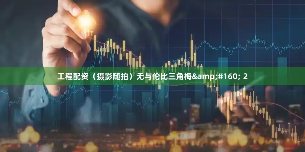 工程配资（摄影随拍）无与伦比三角梅&#160; 2
